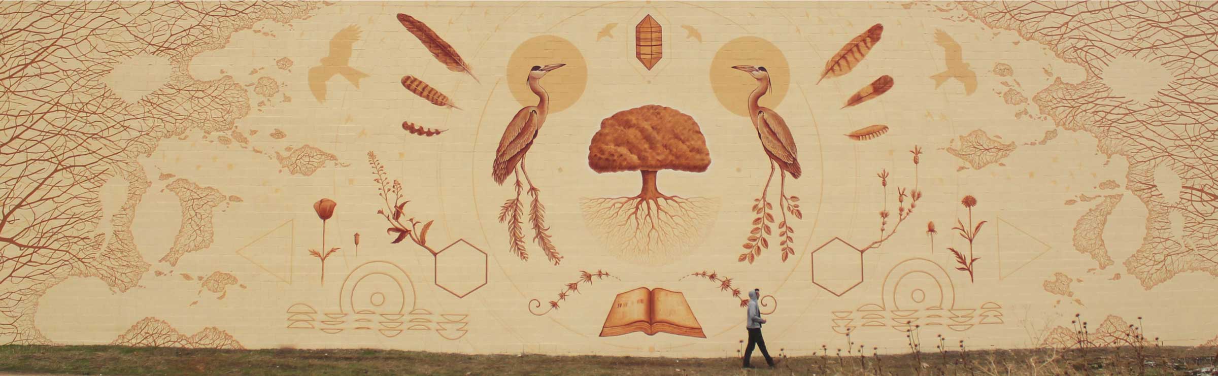 cabecera-web-muralnatura-para-inicio