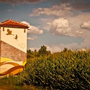 foto-mural-rural foto-mural-rural