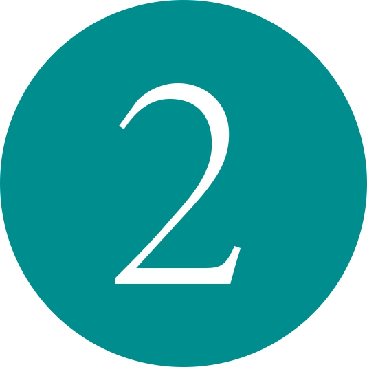 boton pasos 2